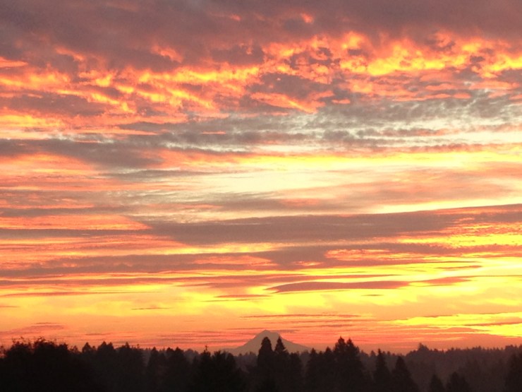 View of Mt Hood from Eric's deck IMG_7802