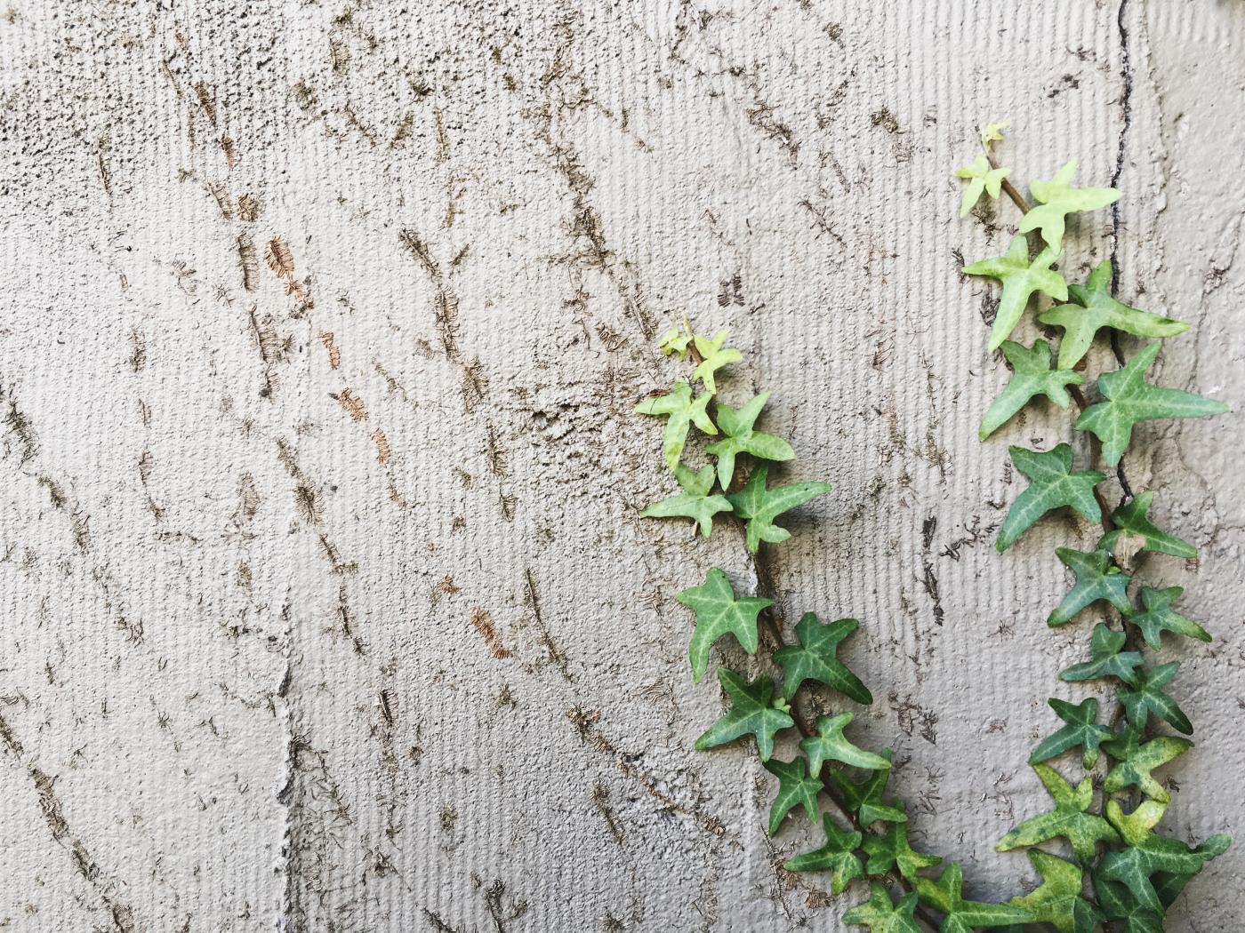 Photo by Shelby Brakken